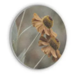 Zonnehoed - Droogbloemen - Geel - Warm Akoestische PET Vilt - Rond klein -3d