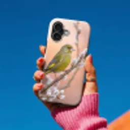 Groenling - Katjes - Lente - Natuur - Zacht Toughcase MagSafe Apple iPhone 17 klein -Sfeer1V