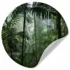 Regenwoud - Tropisch - Jungle - Bomen - Planten Wandcirkel behangsticker klein -3d