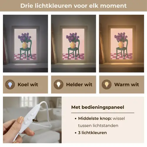 Stoel - Vaas - Bloemen - Geblokt Light Box met kabel (Tafellamp) klein -USP_lichtkleurNL