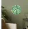 Palmboom - Bladeren - Groen Wandcirkel behangsticker klein 186 -sfeer2
