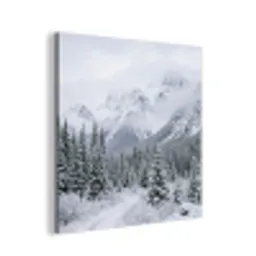 Weg - Bergen - Sneeuw - Naaldbos - Avontuurlijk aluminium wit klein -3d