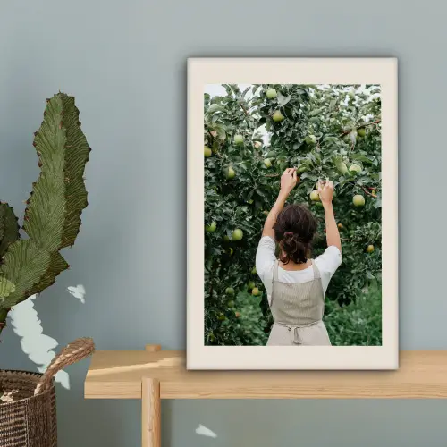 Boom - Appels - Plukken - Natuur canvas 2cm klein -sfeer4
