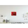 Close up - Bloem - Quote - Rood textielposter latten blank klein -kinderkamer
