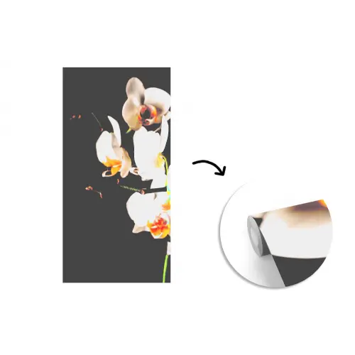 Orchidee - Bloemen - Planten - Botanisch fotobehang vinyl groot -3d