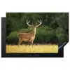 Hert - Gewei - Gras - Natuur - Dieren - Groen Inductie beschermer vinyl 3mm groot -3d
