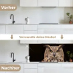 Oehoe - Uil - Portret - Bruin keuken achterwand 2 middel -voor-na_DE