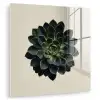 Rozet - Cirkelvormig - Donkergroen plexiglas 5mm klein -zzzproduct_nieuw