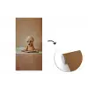 Bad - Hond - Boek - Zonnebril fotobehang vinyl groot -3d
