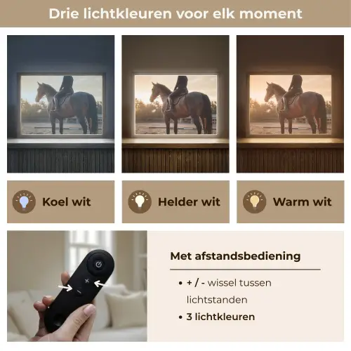 Harmonie - Ruiter - Zon Light Box met batterij (Wandlamp) middel -USP_lichtkleurNL