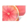Grapefruit - Roze - Levendig Muursticker klein -3d