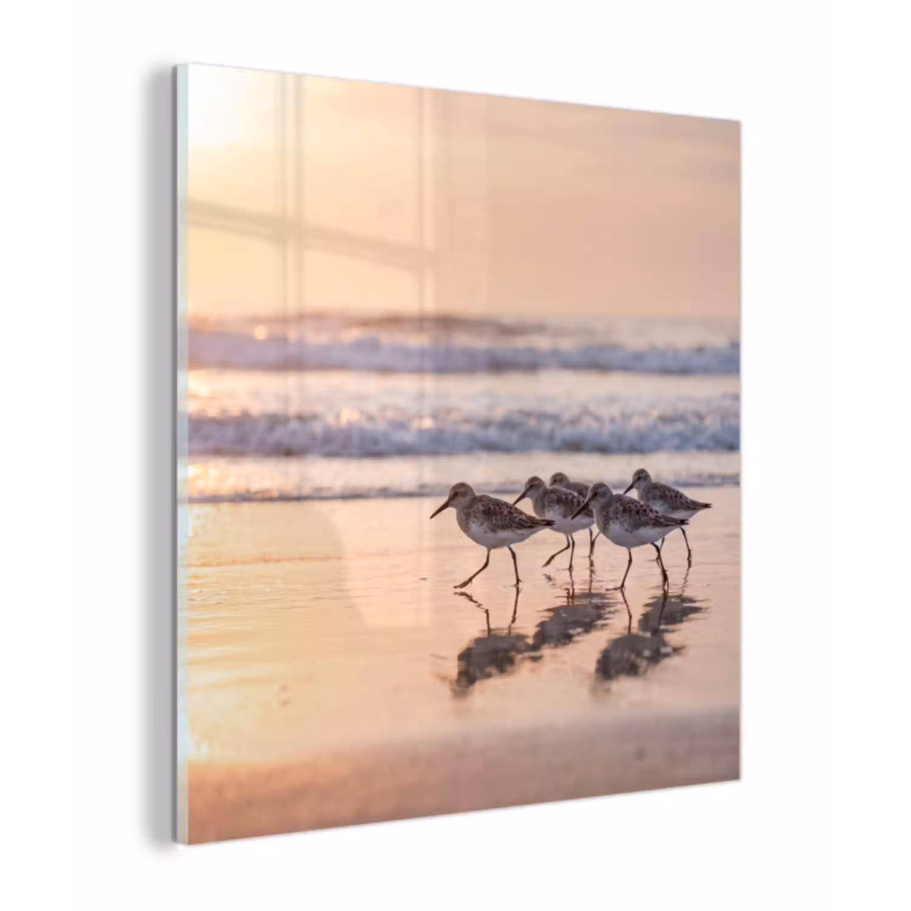 Zee - Vogels - Strand plexiglas 5mm klein -z3d