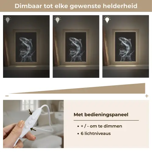 Vis - Koi - Zwart - Water Light Box met kabel (Tafellamp) klein -USP_dimbaarNL