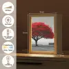 Boom - Rood - Natuur - Zwart wit Light Box met kabel (Tafellamp) klein -USP_NL