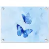 Vlinders - Sierlijk - Blauw tuinposter los doek klein -3d