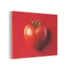 Tomaat - Rood - Hart PET vilt klein -3d