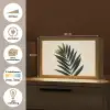 Palmblad - Donkere bladen - Subtiel Light Box met kabel (Tafellamp) klein -USP_websiteoverzichtNL