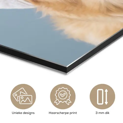 Hond - Badeend - Geel aluminium wit klein -closeup_NL