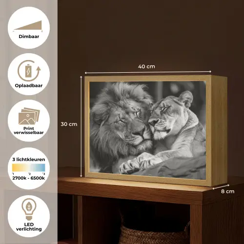 Leeuwen - Dieren - Zwart - Wit - Leeuw Light Box met batterij (Wandlamp) middel -USP_websiteoverzichtNL