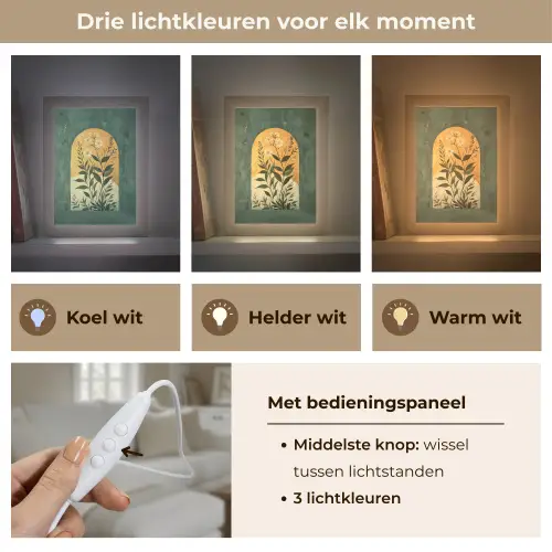 Plant - Bloemen - Wit Light Box met kabel (Tafellamp) klein -USP_lichtkleurNL