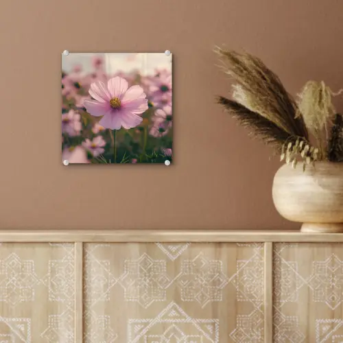 Bloemen - Paars - Wazig plexiglas 5mm klein -sfeer5