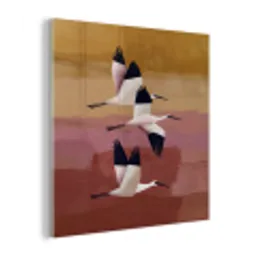 Vogels - Snavel - Abstract plexiglas 5mm klein -z3d