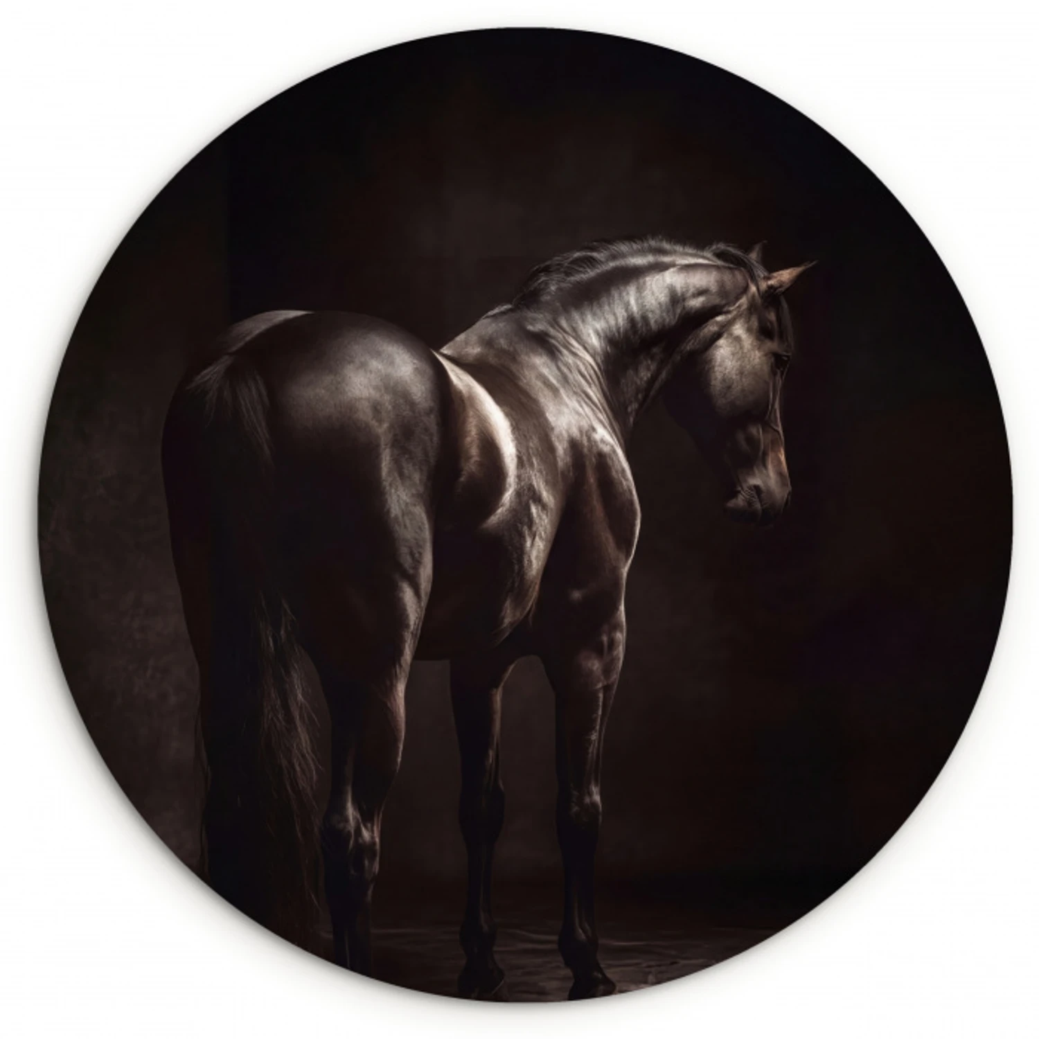Krachtig - Paard - Donker Wandcirkel kunststof plaat 5mm dik klein -3d