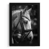 Paard - Schimmel - Portret fotolijst zwart zonder passe partout klein -3d
