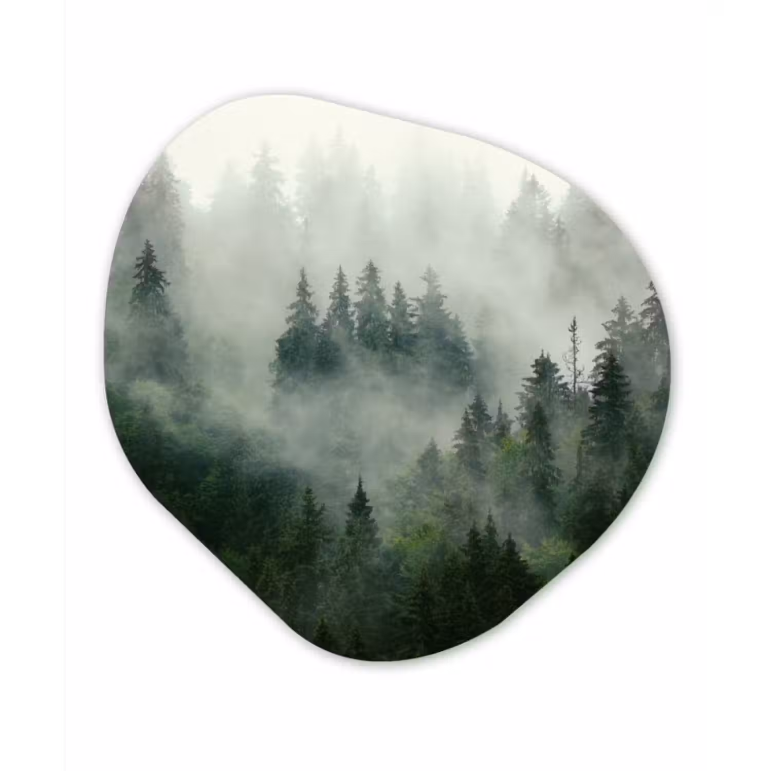 Organische Formen – Aluminium – Bos - Mist - Bomen - Natuur