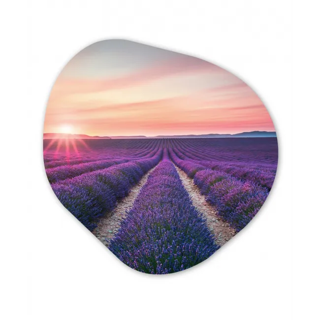 Lavendel - Paars - Bloemen Wandcirkel Organisch Forex 3mm klein -3d