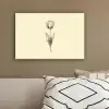 Illustratie - Tulp - Zwart canvas 2cm klein -sfeer3
