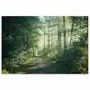 Bos - Pad - Zon - Bomen - Groen - Natuur poster papier klein -3d