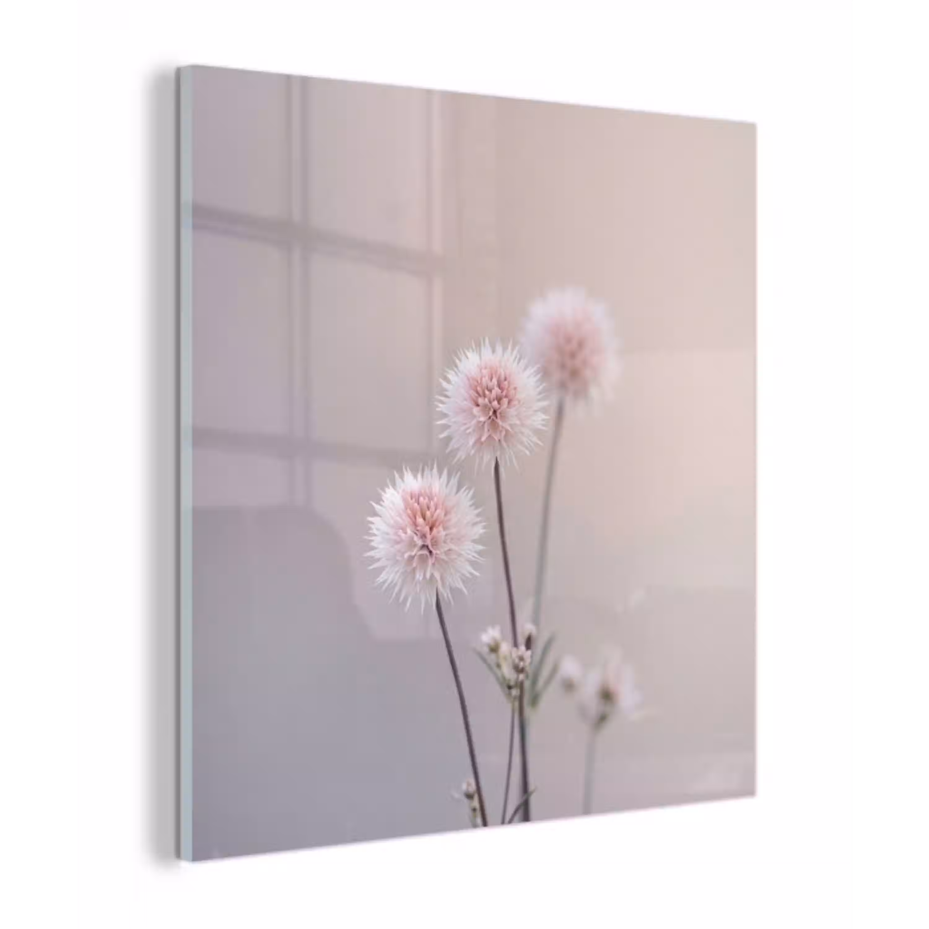 Bloemen - Bollen - Roze plexiglas 5mm klein -z3d