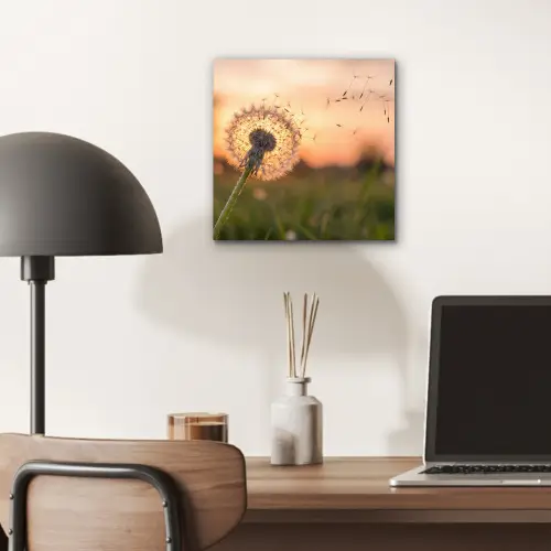 Paardenbloem - Zonsondergang - Veld aluminium wit klein -sfeer5