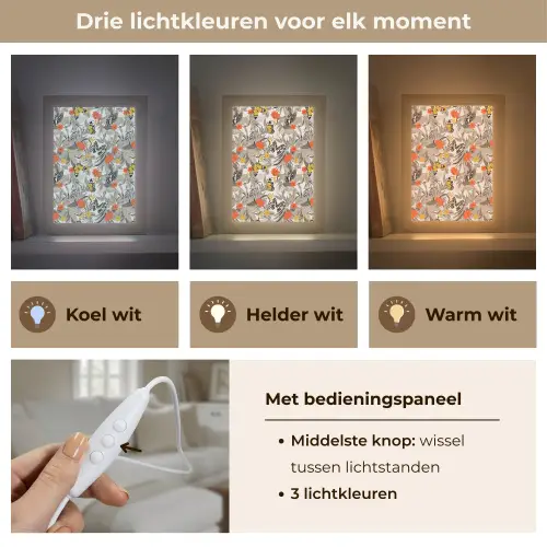 Tropisch - Zomer - Vlinder - Bloemen Light Box met kabel (Tafellamp) klein 925 -USP_lichtkleurNL