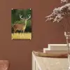 Hert - Gewei - Gras - Natuur - Dieren - Groen plexiglas 5mm klein -sfeer5