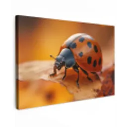Lieveheersbeestje - Herfst - Insect - Rood - Bladeren Tuinposter op houten frame 2 cm dik klein -3d