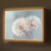 Paardenbloemen - Pluisjes - Wit Light Box met batterij (Wandlamp) middel -z3d_website
