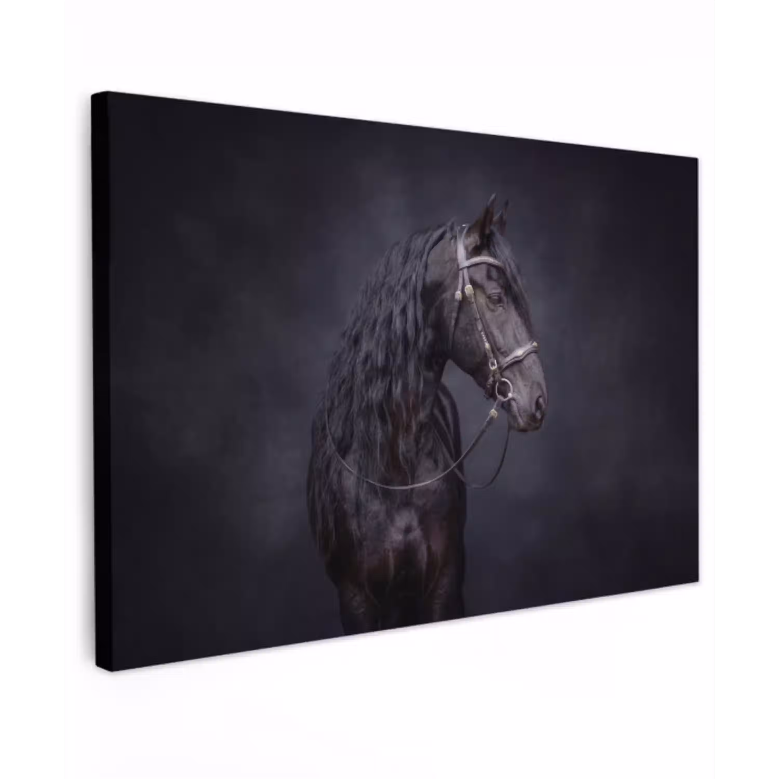 Portret - Paard - Donker Tuinposter op houten frame 2 cm dik klein -3d