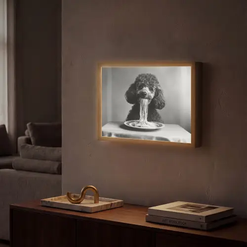 Poedel - Hond - Zwart - Wit - Schattig - Pasta Light Box met batterij (Wandlamp) middel -sfeer1
