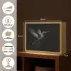 Kolibrie - Zwart - Dieren Light Box met batterij (Wandlamp) middel -USP_websiteoverzichtNL