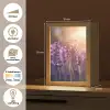 Lavendelbloemen - Paars - Zonlicht Light Box met kabel (Tafellamp) klein -USP_websiteoverzichtNL
