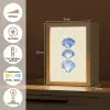 Schelpen - Blauw - Beige Light Box met kabel (Tafellamp) klein -USP_NL