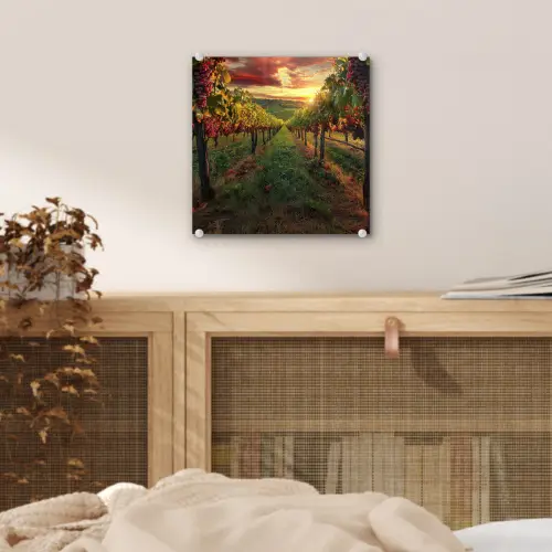 Wijngaard - Druiven - Zonsondergang plexiglas 5mm klein -sfeer4