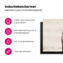 Sneeuwuil - Paal - Winter - Portret - Majestueus Inductie beschermer vinyl 3mm klein -wsfeer2_website