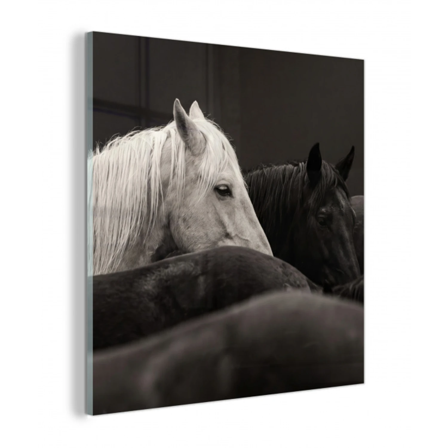 Paarden - Zwart - Wit - Kudde plexiglas 5mm klein -z3d