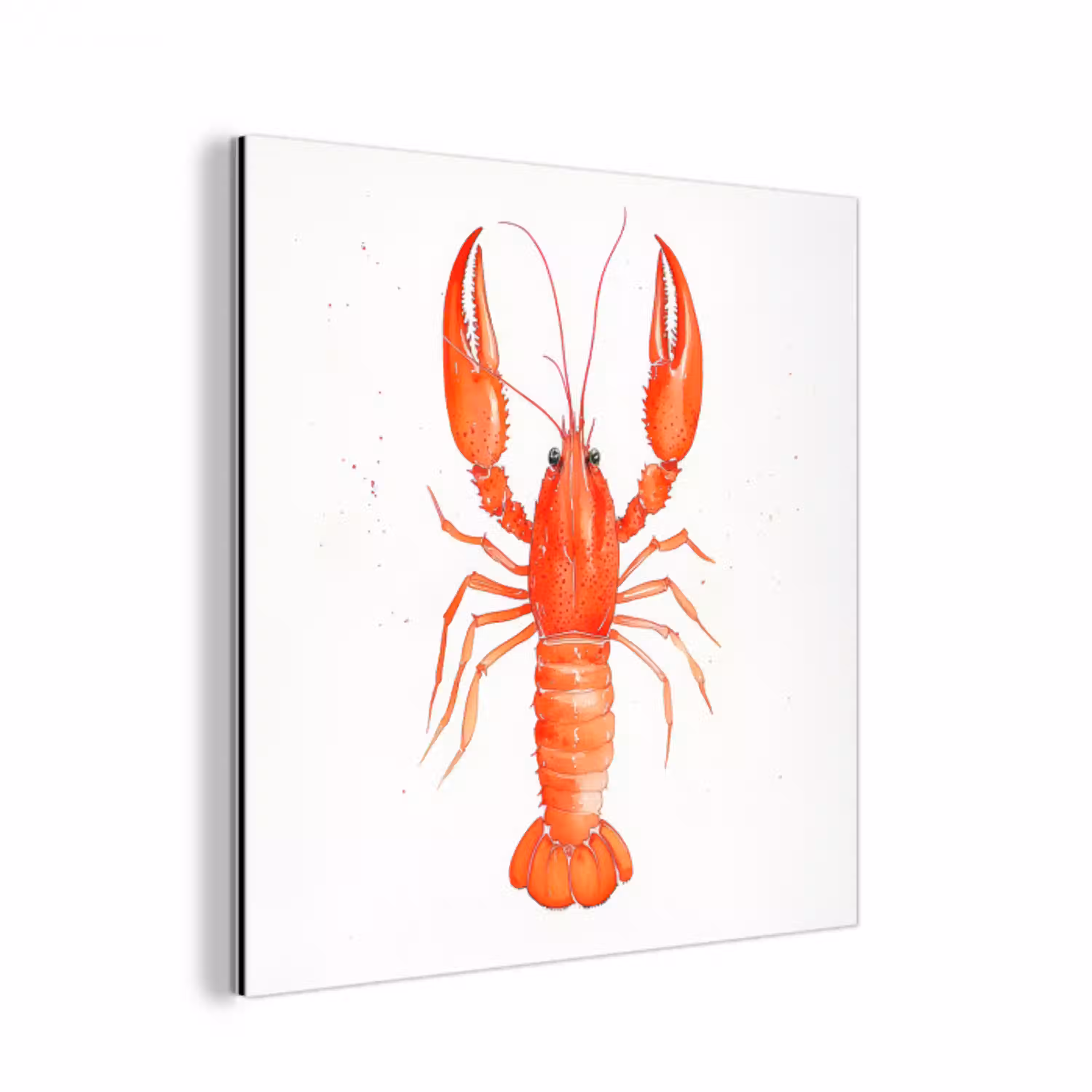 Kreeft - Waterverf - Aquarel - Oranje aluminium wit klein -3d
