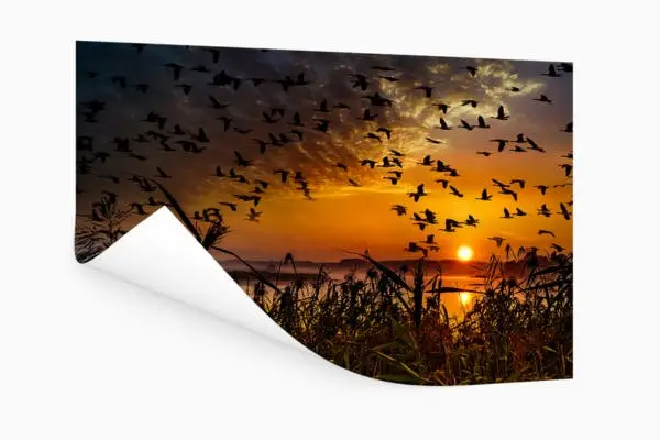 Tuinposter natuur los doek