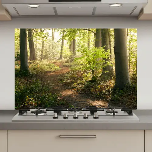 Bos - Bomen - Pad - Zon - Planten - Bladeren - Natuur keuken achterwand spatscherm klein -3d_website