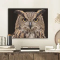 Oehoe - Uil - Portret - Bruin PET vilt klein -sfeer1